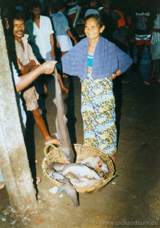 Negombo Fischmarkt 2 